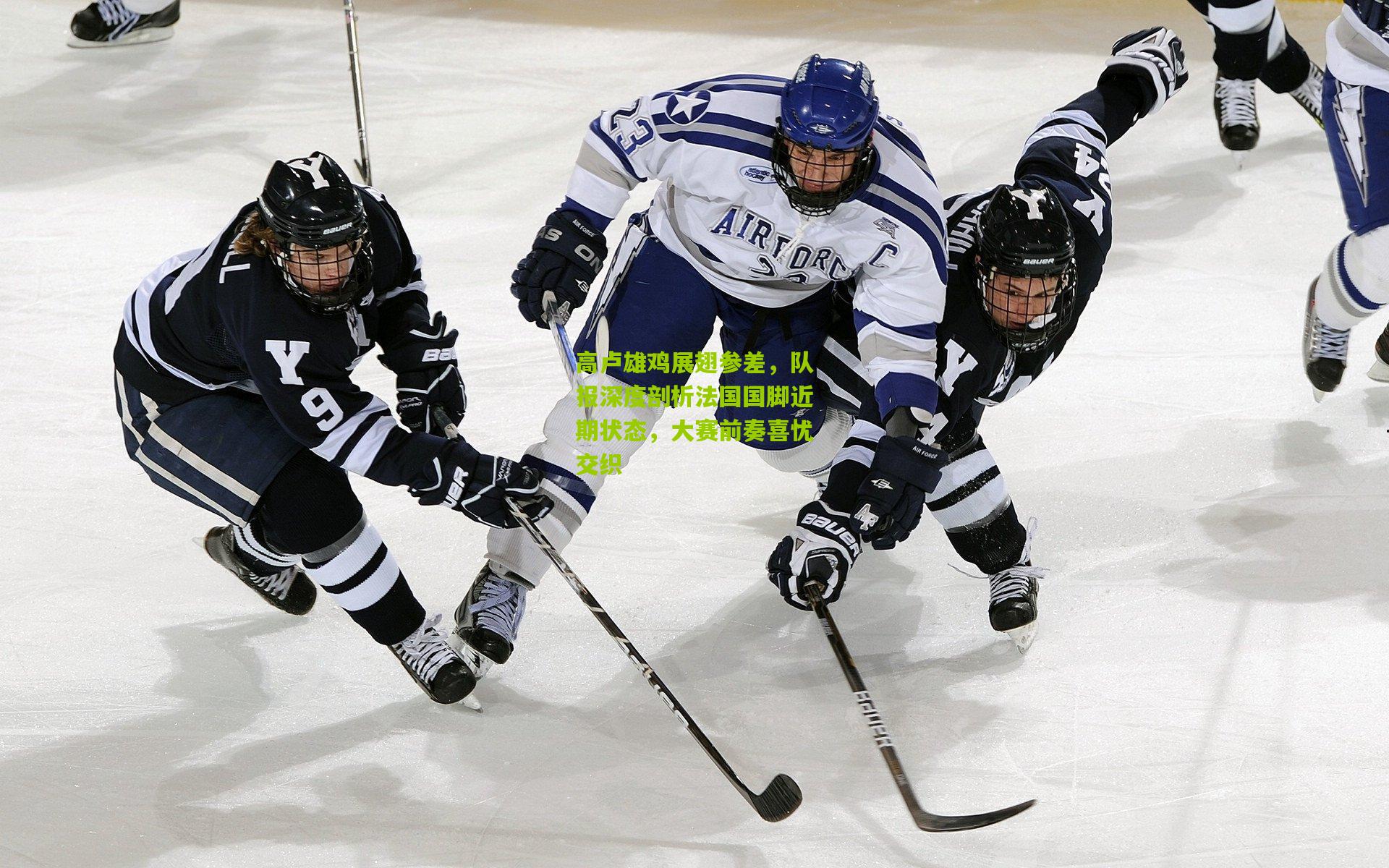 高卢雄鸡展翅参差，队报深度剖析法国国脚近期状态，大赛前奏喜忧交织