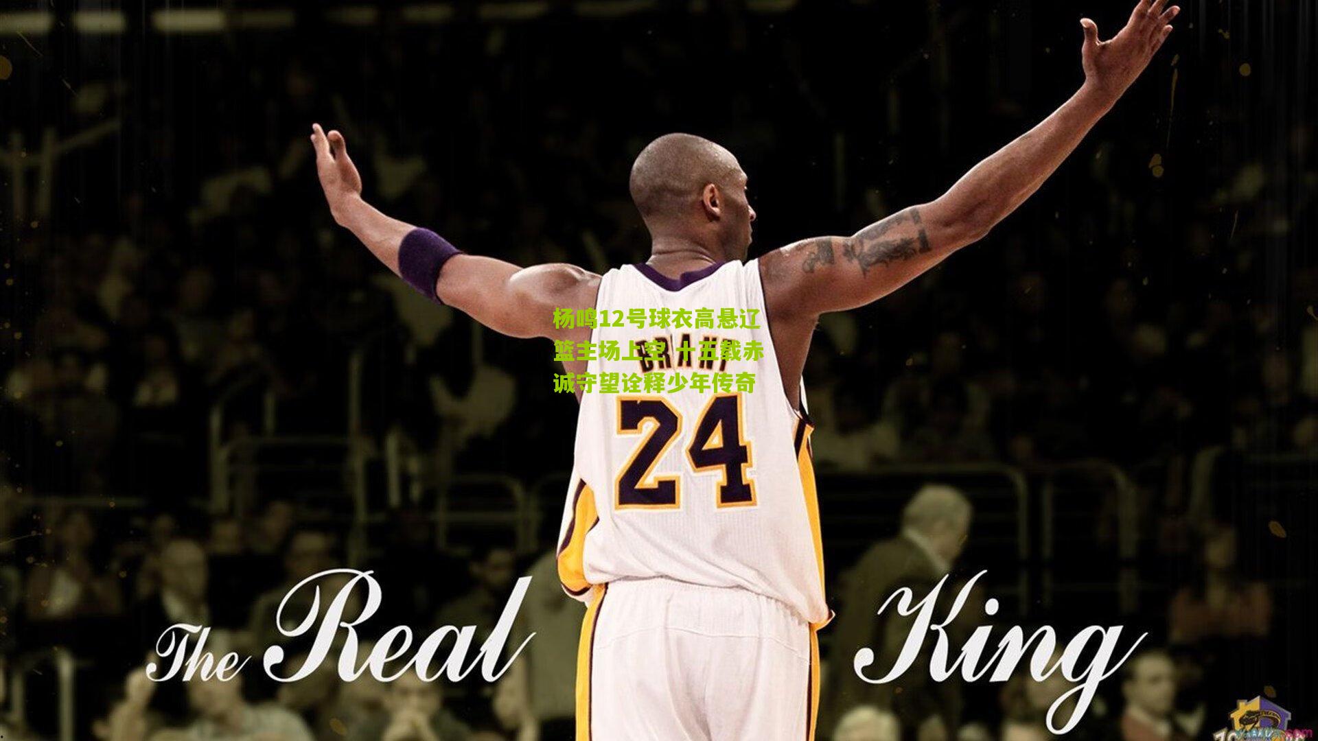 杨鸣12号球衣高悬辽篮主场上空 十五载赤诚守望诠释少年传奇