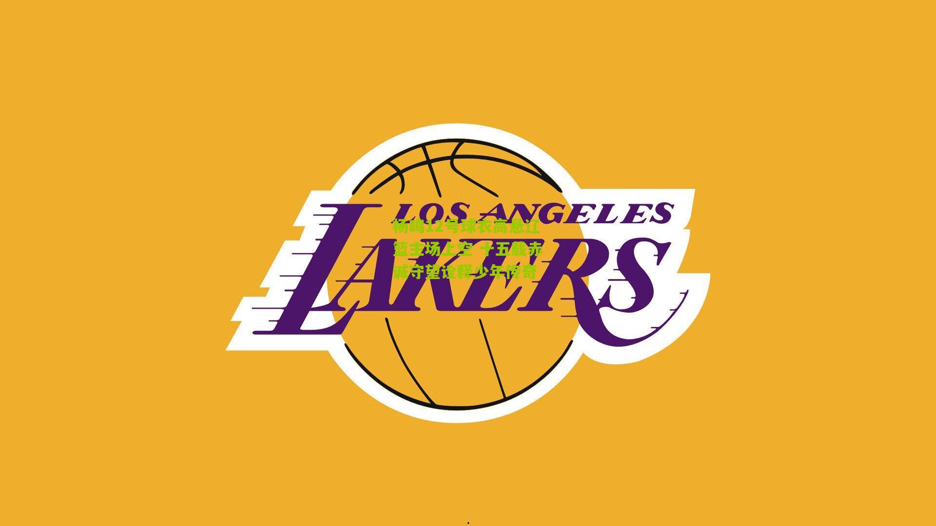 杨鸣12号球衣高悬辽篮主场上空 十五载赤诚守望诠释少年传奇